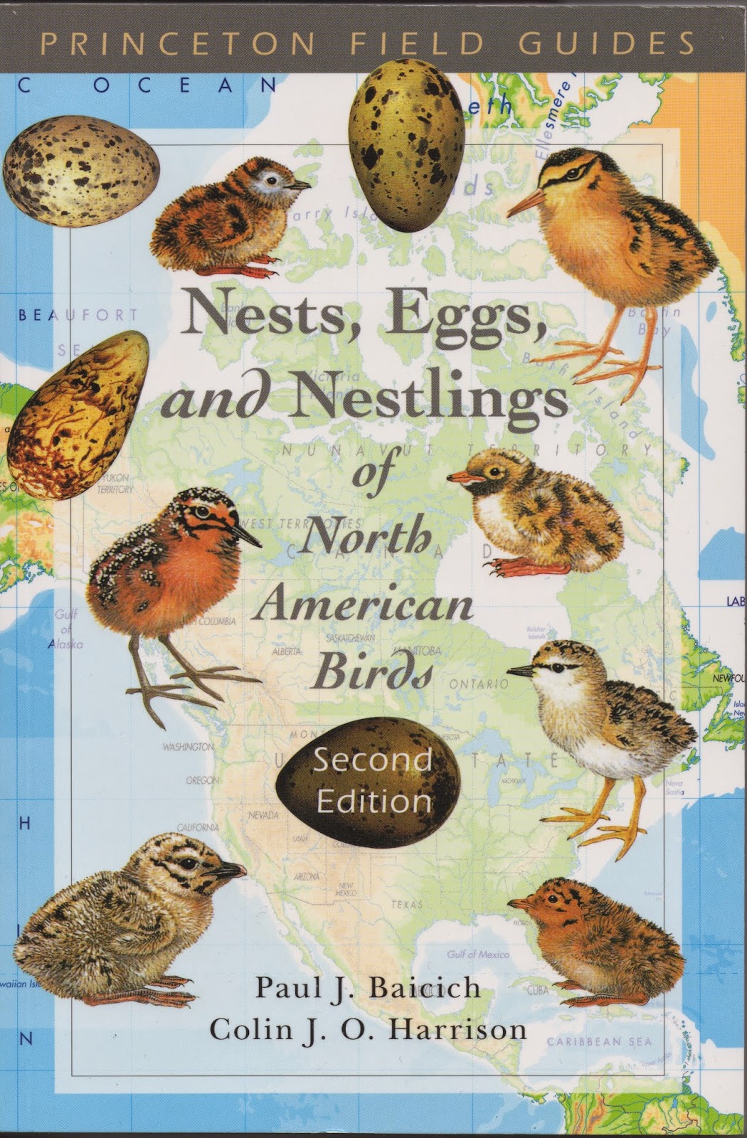 The Backyard Birder New books for birders arrive in time for spring